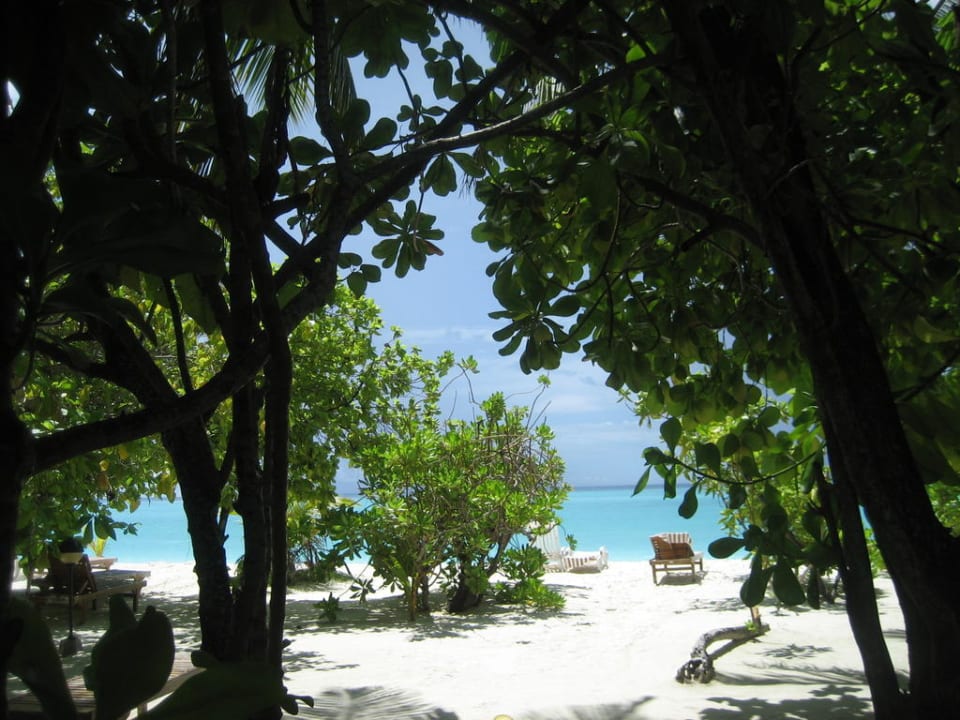 Vor dem Bungalow 168 Villa Park Sun Island