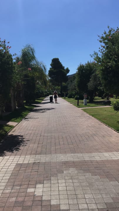 Gartenanlage Hotel Garden Beach Cala Sinzias