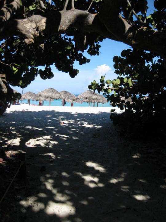 Der Weg zum Strand Iberostar Origin Taínos
