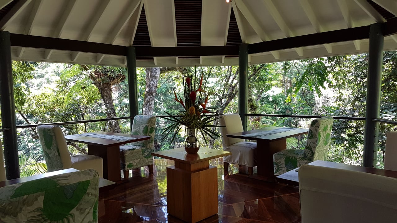 Lobby Hotel Silky Oaks Lodge