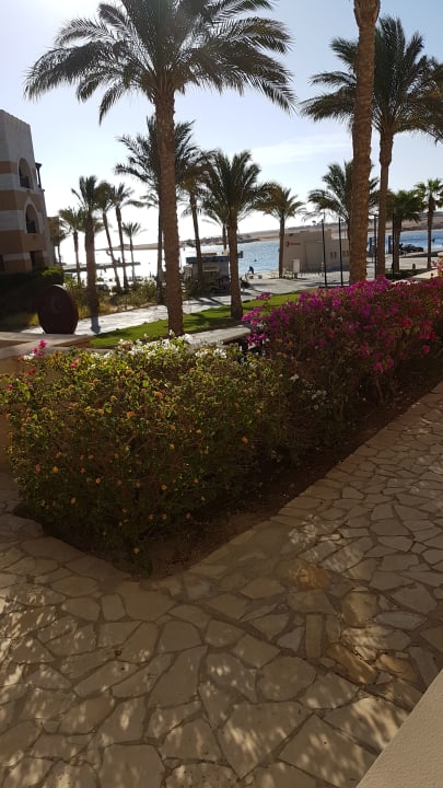 Außenansicht Marina Resort Port Ghalib, a member of Radisson Individuals