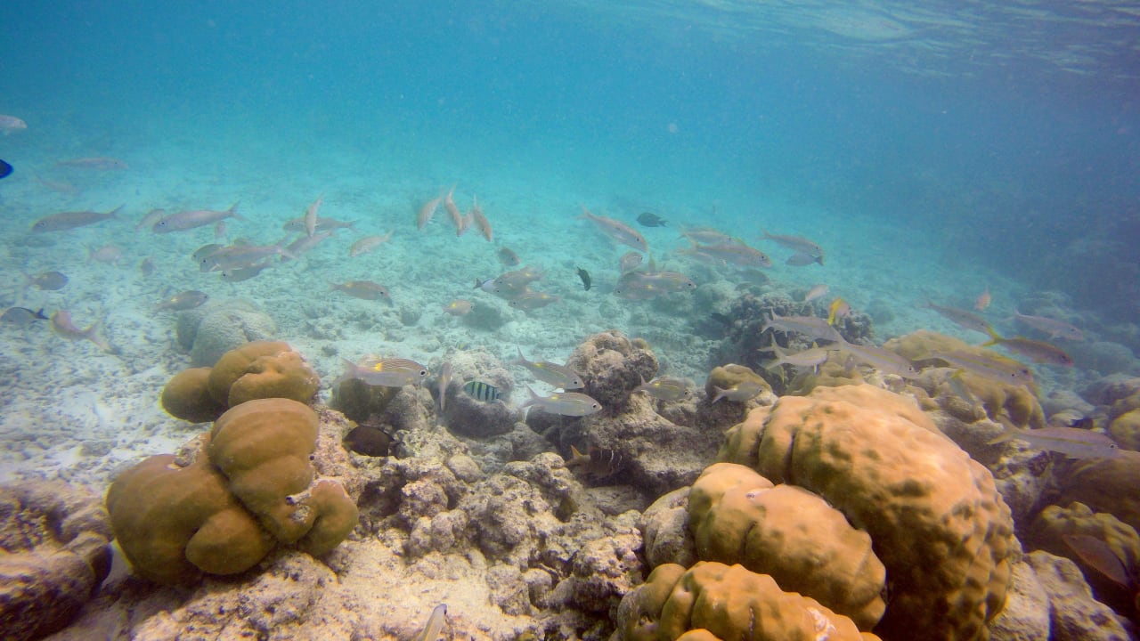 Sport & Freizeit Summer Island Maldives