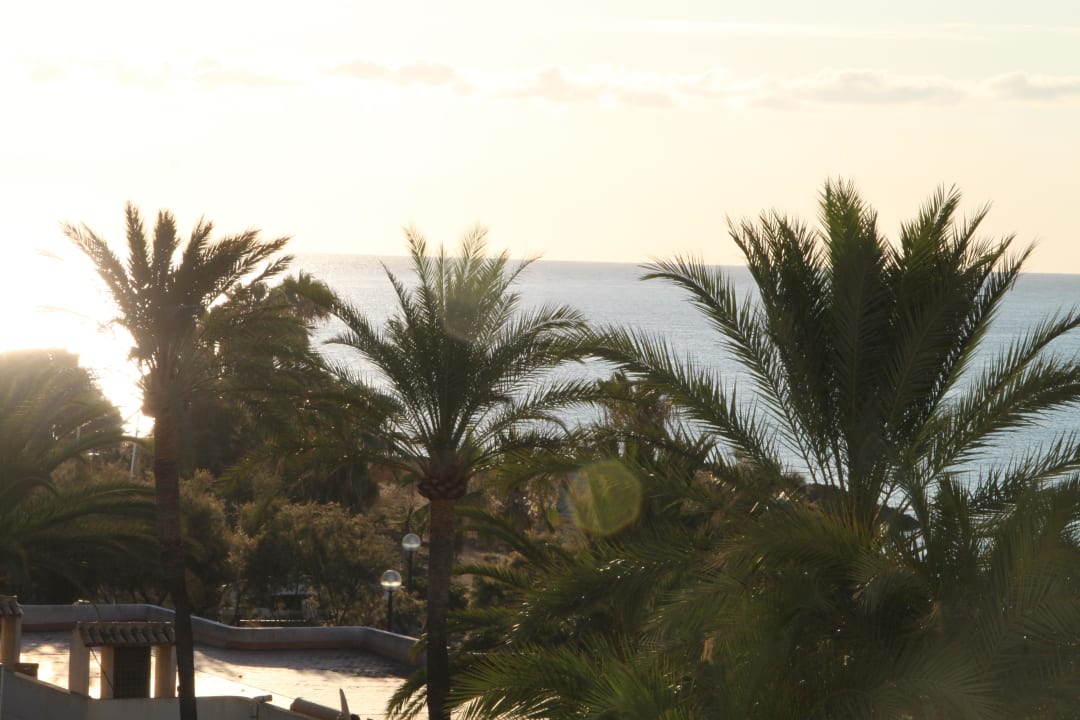 Ausblick vom Balkon Aparthotel Playa Dorada