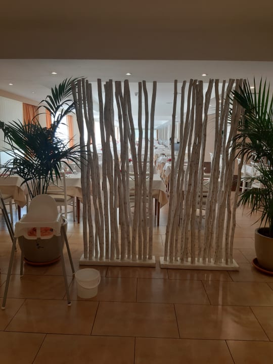 Gastro Grupotel Orient