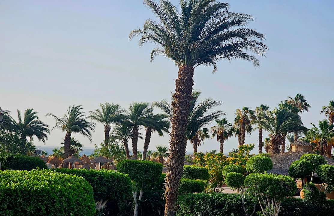 Ausblick Lotus Bay Beach Resort
