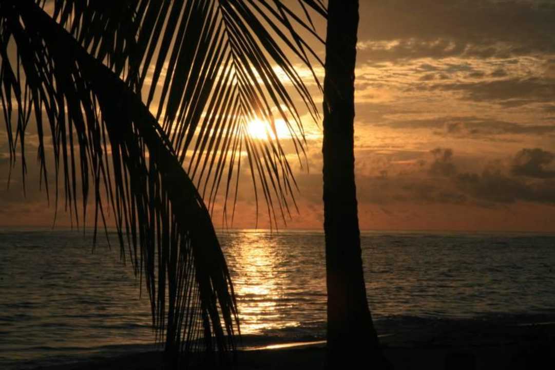 Sonnenaufgang am Strand Grand Palladium Select Bávaro Resort & Spa