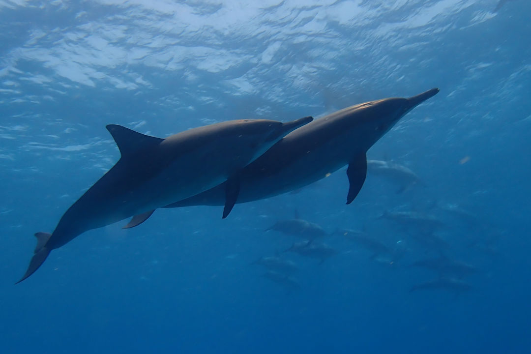 Sonstiges Brayka Bay Resort