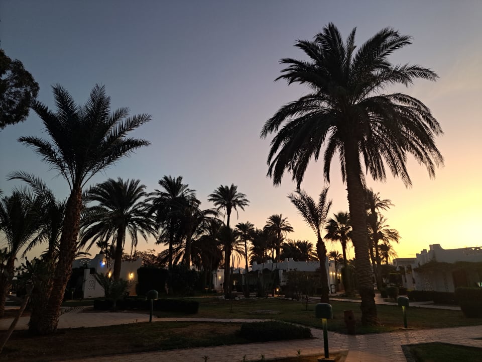 Ausblick Shams Safaga Resort