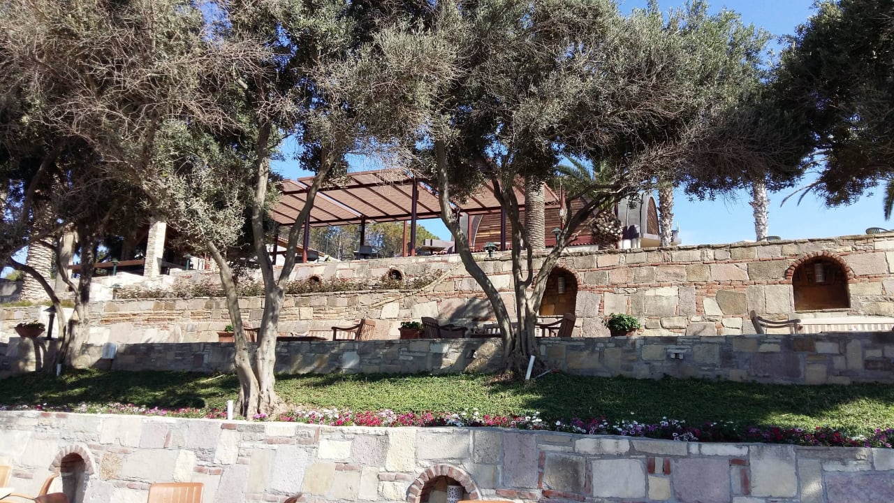 Strandbar Blick hoch zur Bonasi Snack Bar Arum Barut Collection