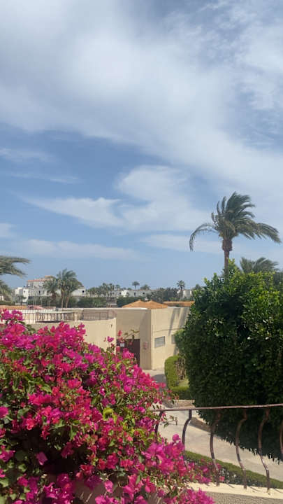 Pool Eagles Paradise Abu Soma