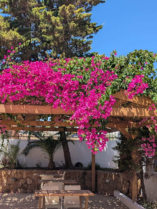 Gartenanlage High Beach Resort