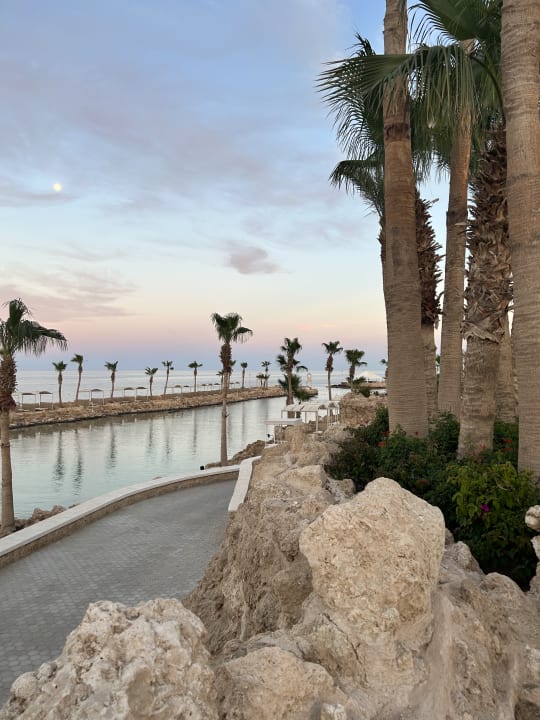 Ausblick Pickalbatros Citadel Resort