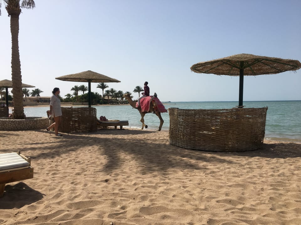 Strand Golden Beach Resort