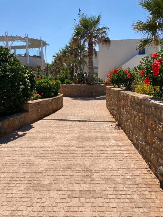 Gartenanlage Lyttos Beach Hotel