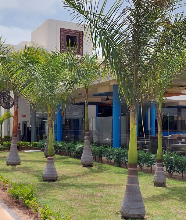 Gartenanlage Hotel Riu Palace Boavista