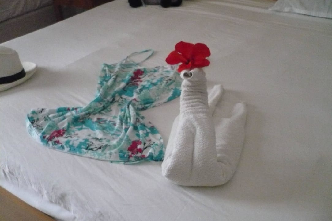 Das Personal hat Spaß bei der Arbeit Hotel Djerba Resort