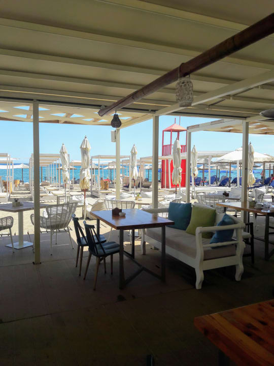 Gastro Yianna Caravel By Checkin