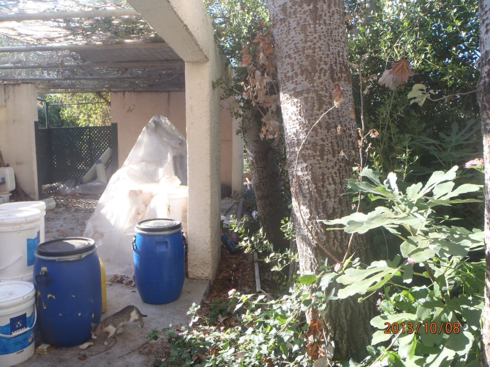 Gerümpel Calimera Sirens Beach