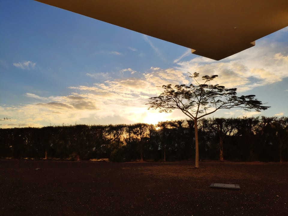 Ausblick allsun App.-Hotel Albatros