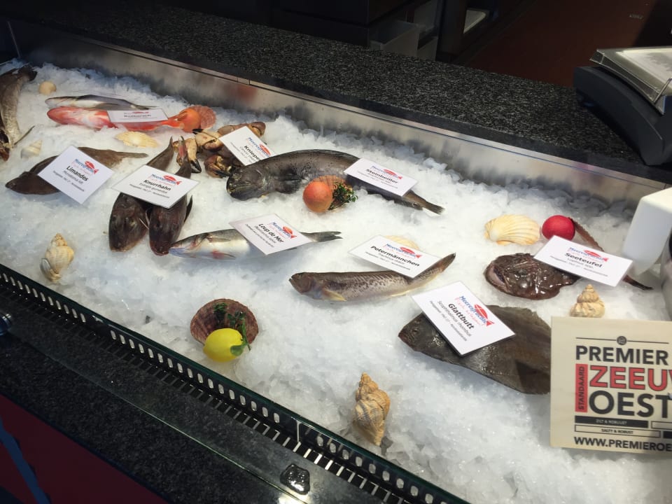 Gastro Haus Residenz am Yachthafen Hamer Ferienappartements