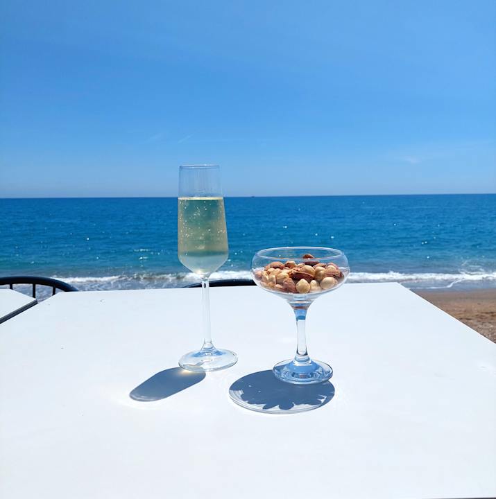 Gastro Paloma Finesse