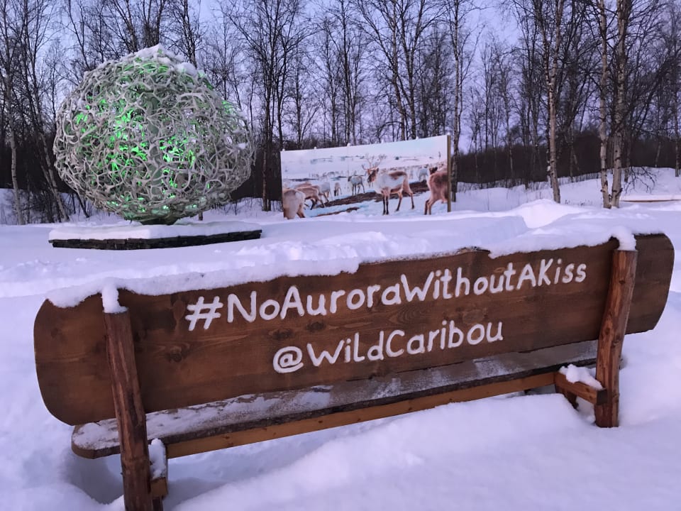 Sonstiges Wild Caribou Dome