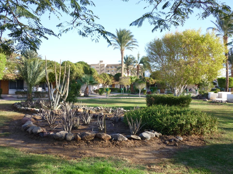 Hotelová zahrada Shams Safaga Resort