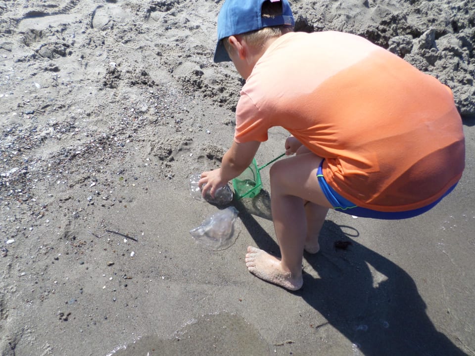 Strand Hotel Residenz Waldkrone Kühlungsborn