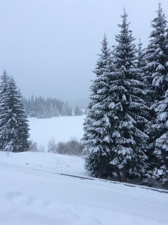 Loipe direkt am Stausee  Hotel Montanie