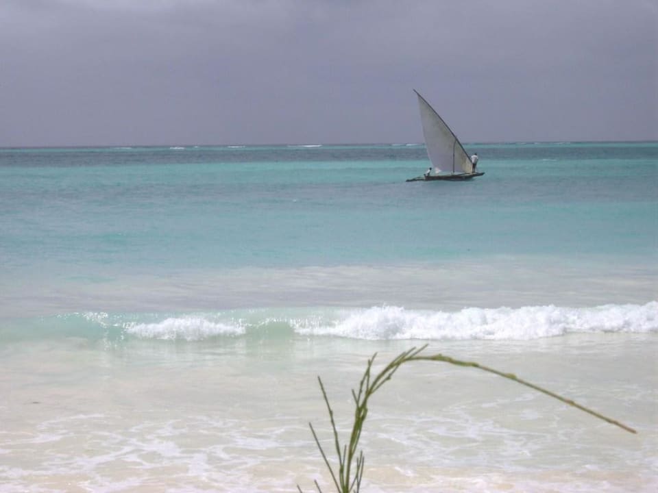 Wirklich traumhaft Neptune Pwani Beach Resort & Spa