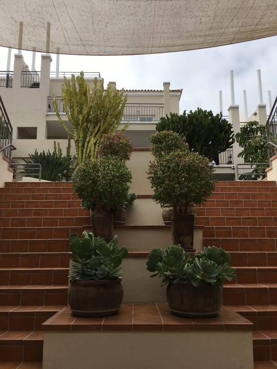 Gartenanlage Los Olivos Beach Resort