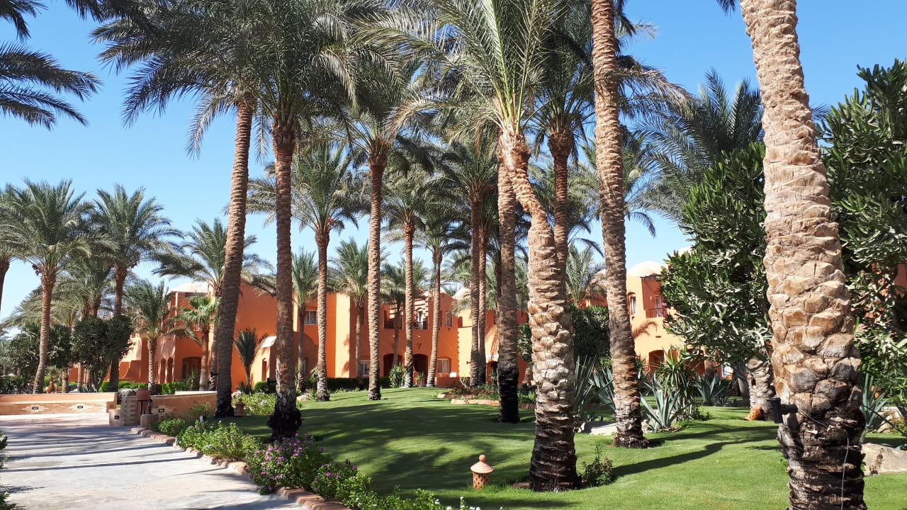 Gartenanlage Jaz Makadi Oasis Resort