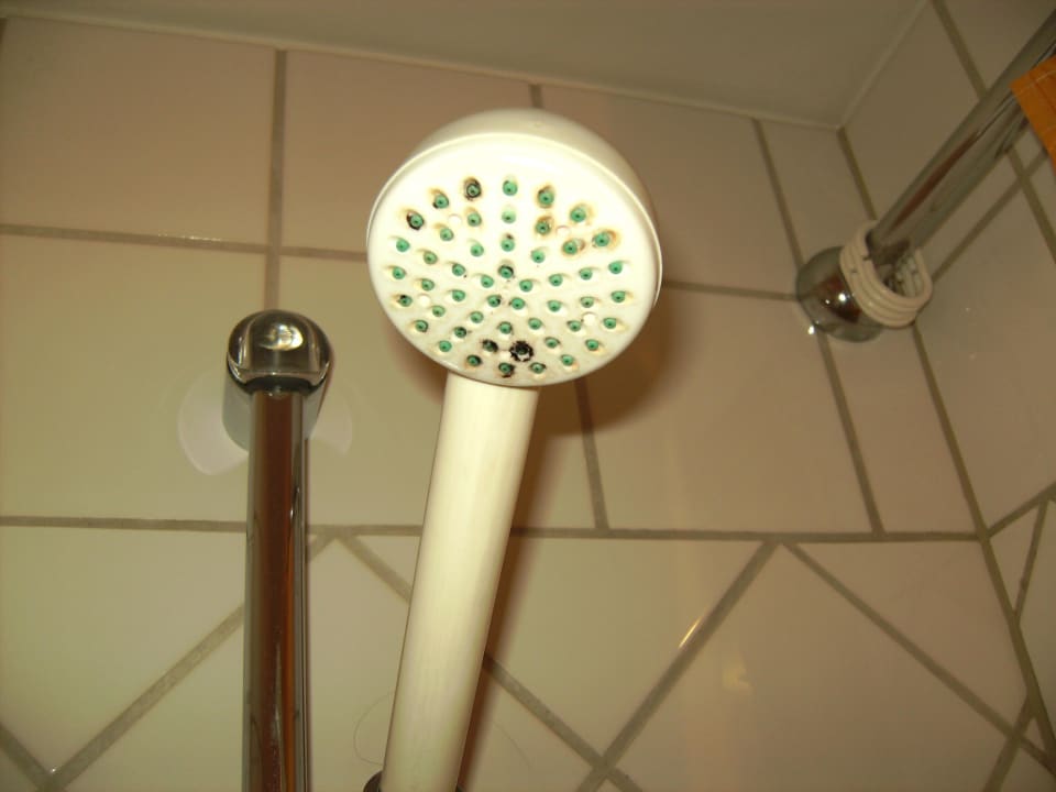 Duschkopf! Good Morning + Leipzig