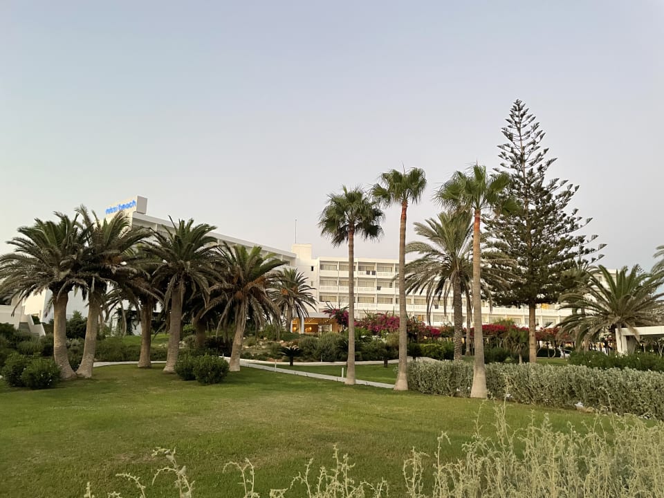 Gartenanlage Hotel Nissi Beach Resort