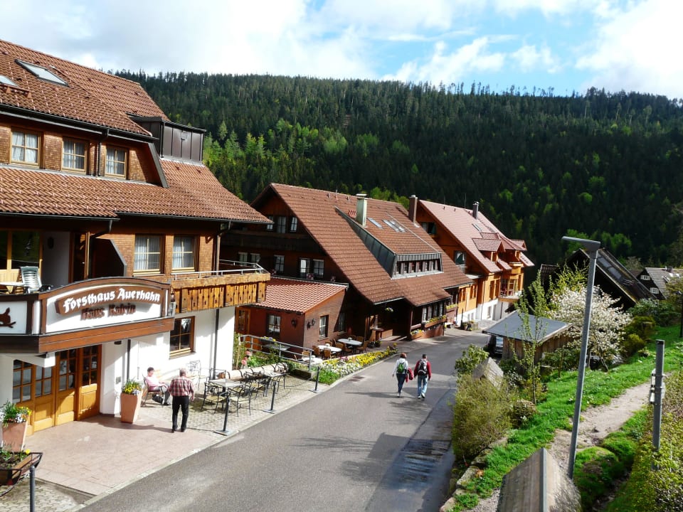 Auerhahn Wellnesshotel Forsthaus Auerhahn