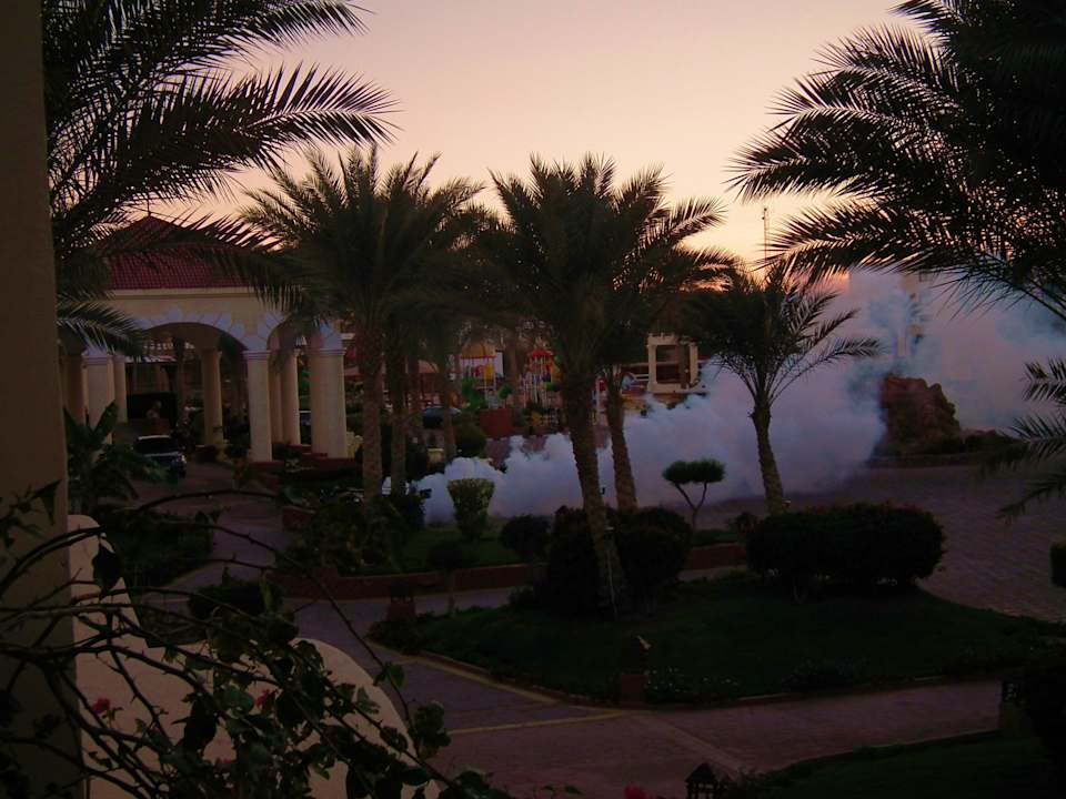 Dym na insekty Regency Plaza Aqua Park & Spa