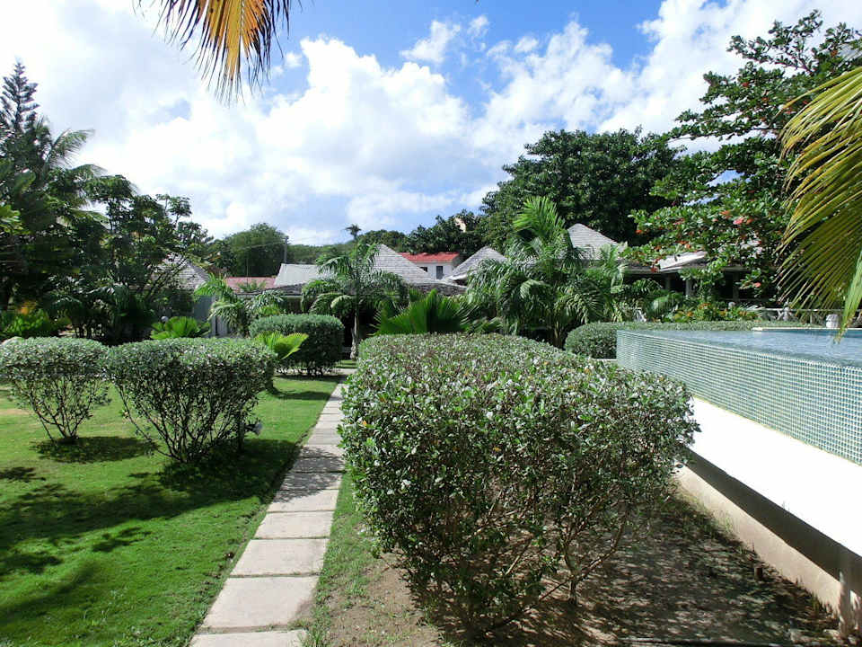 Gepflegter Garten Hotel Coconut Beach Club