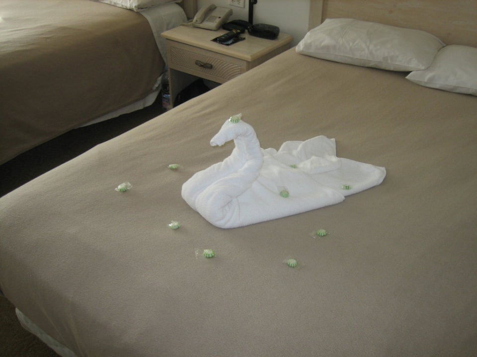 Zimmer Riu Florida Beach Hotel Riu Plaza Miami Beach