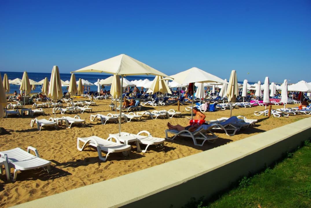 Am 25.10.2012 PALOMA Perissia