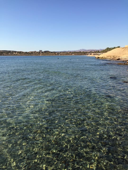 Blick auf die Bucht  Steigenberger Coraya Beach - Adults only