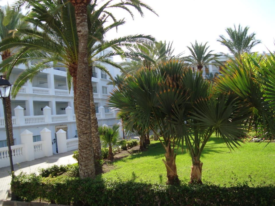 Vom Frühstückstisch Hotel Riu Palace Maspalomas Adults Only