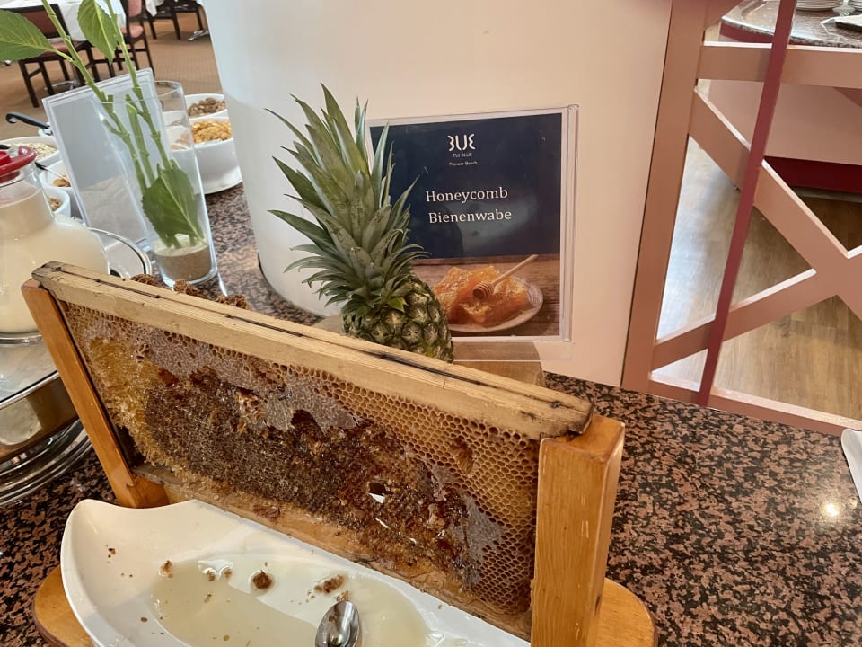 Gastro TUI BLUE Pioneer Beach