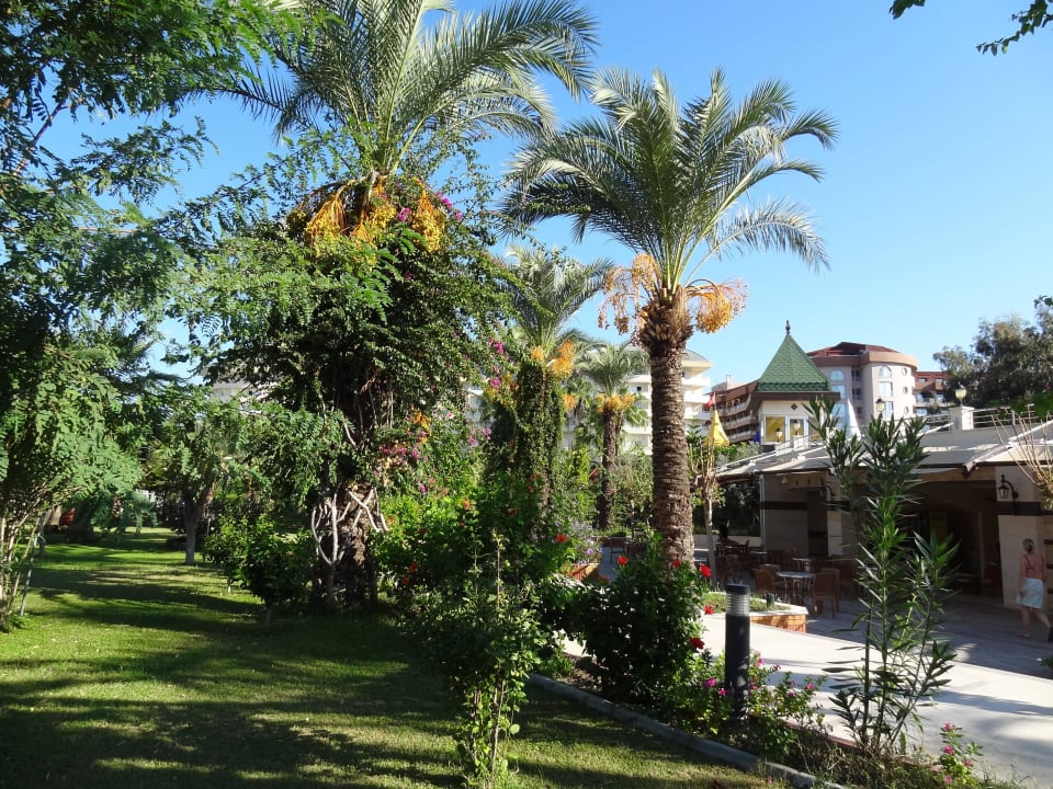 Immer grün Saphir Resort & Spa