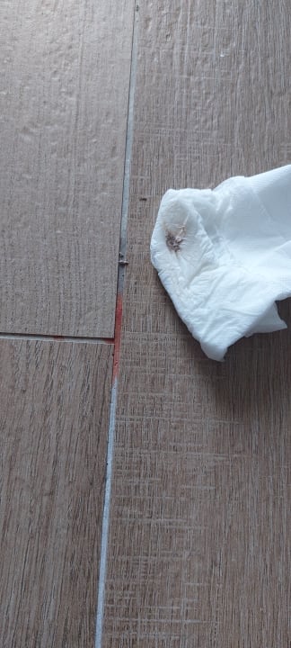 Zimmer Dream Fun World