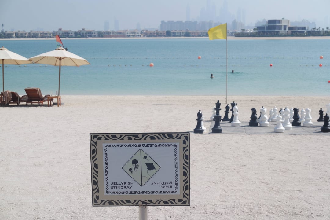 Quallen haben wir keine gesehen, nur Babyrochen Sofitel Dubai The Palm Resort & Spa