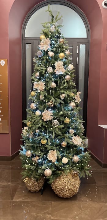 Lobby Monti Palace Hotel