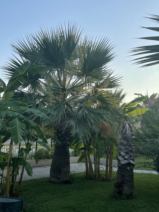 Gartenanlage Bella Resort & Spa