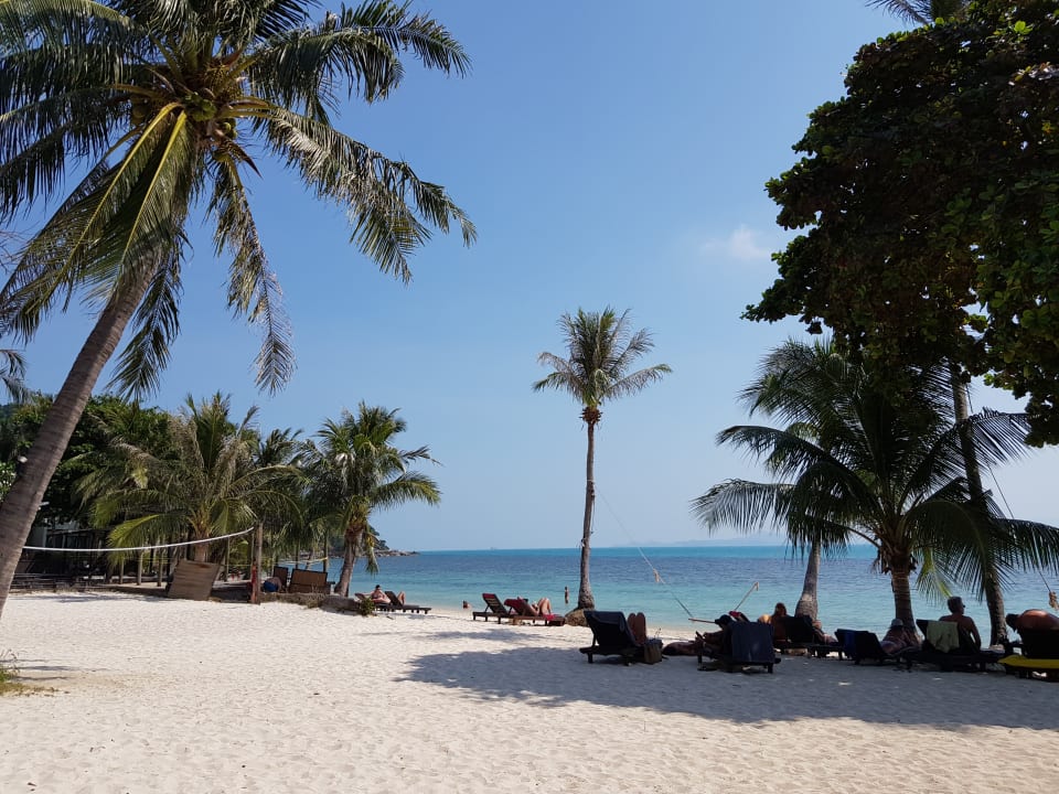 Strand Hotel Cocohut Beach Resort