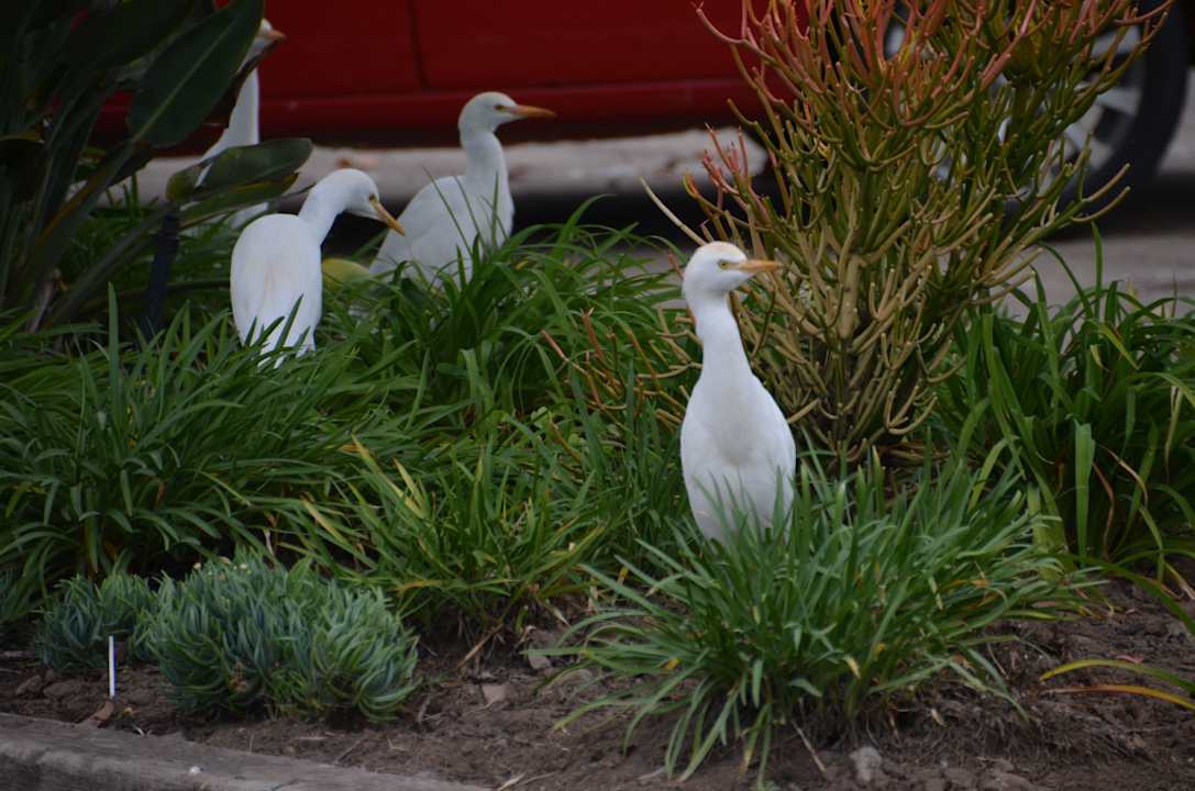 Gäste Garden Court Mthatha