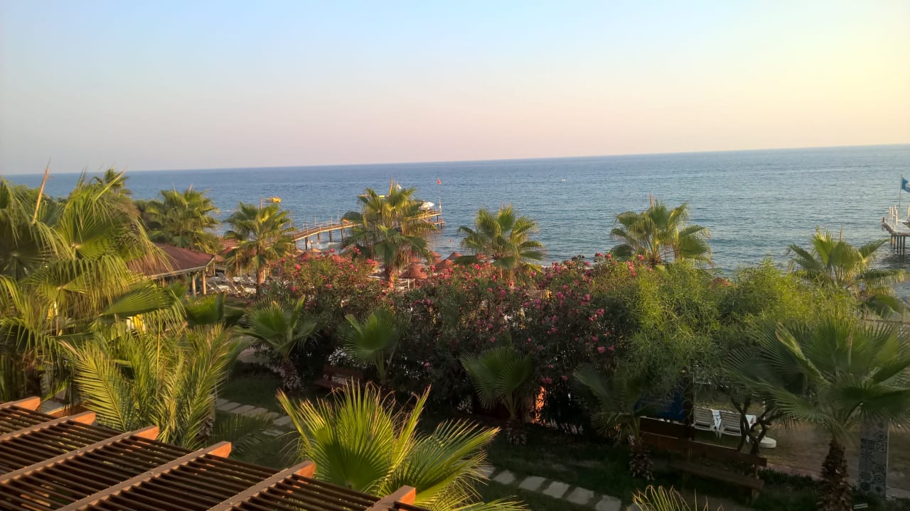 Gartenanlage Dizalya Palm Garden